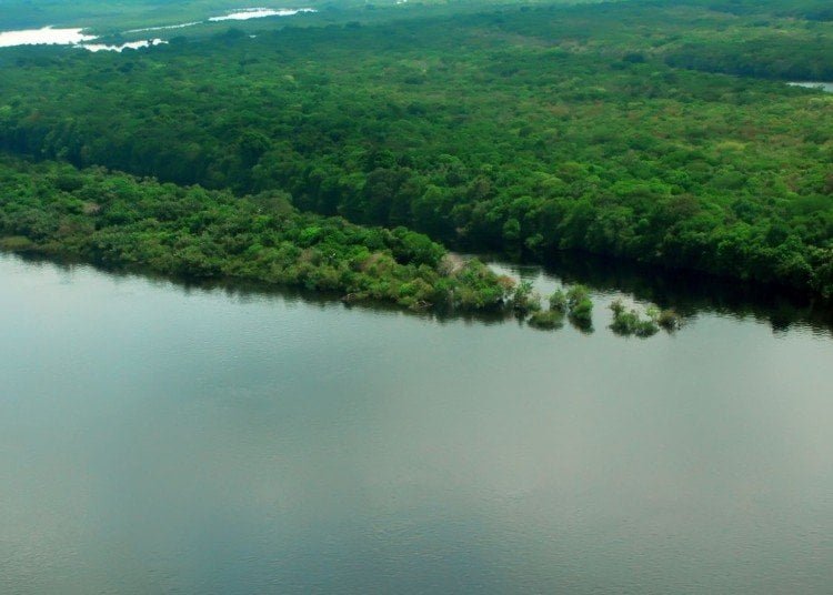 eua-estao-empenhados-em-arrecadar-recursos-“vultosos”-para-amazonia