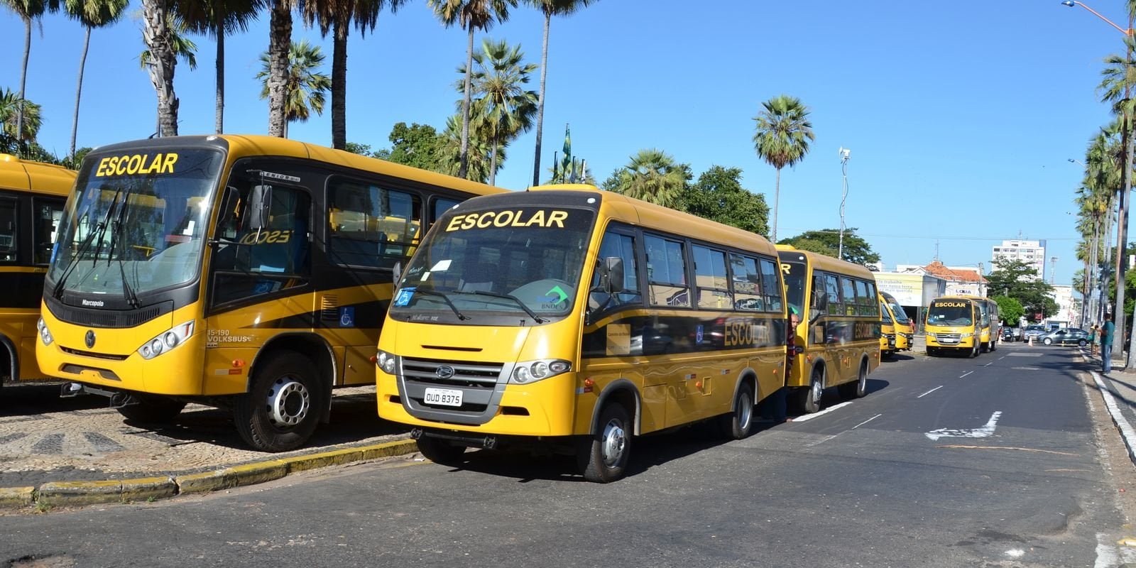 pendencias-do-transporte-escolar-devem-ser-regularizadas-ate-amanha