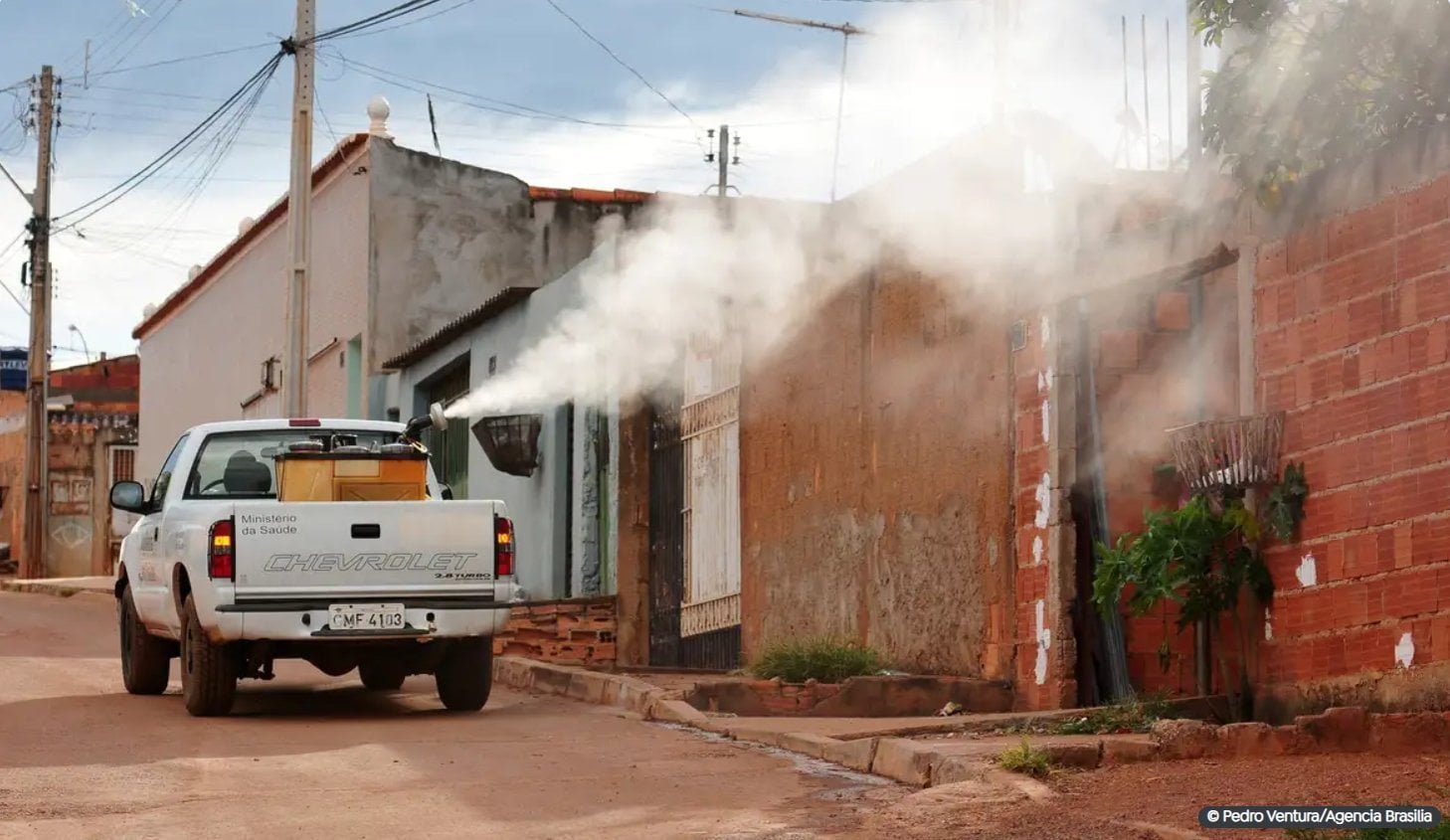 ivermectina-nao-e-eficaz-contra-dengue,-alerta-ministerio-da-saude