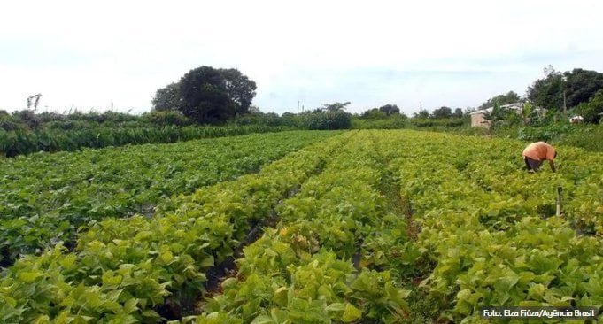 agricultores-da-uniao-europeia-promovem-manifestacoes-contra-elevadas-taxas-tributarias